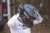 KASK MOTOCYKLOWY CROSS ENDURO MX708 FAST II  ,